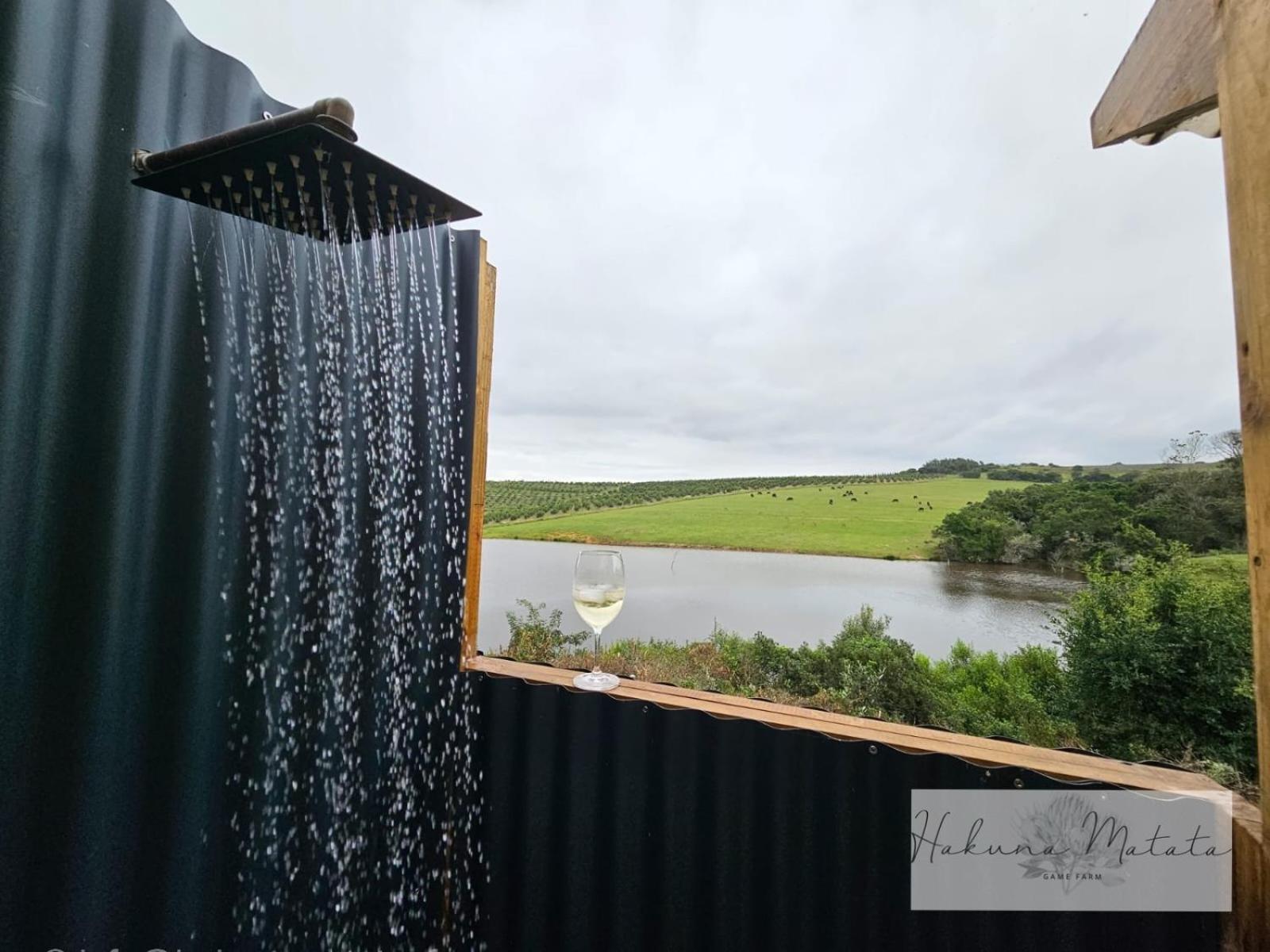 Hakuna Matata Game Farm Great Brak River Buitenkant foto