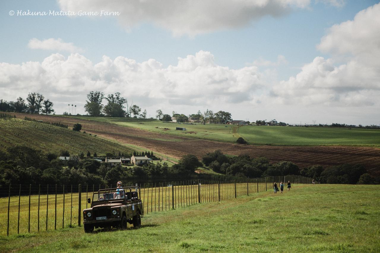 Hakuna Matata Game Farm Great Brak River Buitenkant foto